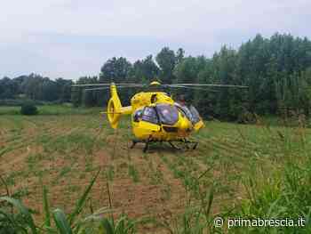 Manerbio, si amputa le dita mentre taglia l'erba - Prima Brescia