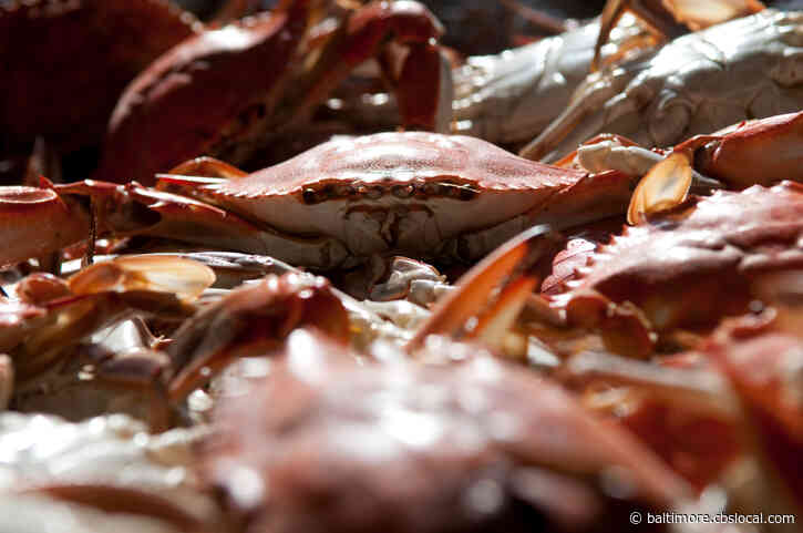 Phillips Crab House In Ocean City, Maryland, Temporarily Closed After Employee Tests Positive For COVID-19