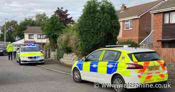 Air ambulance called following 'medical emergency' in Swansea