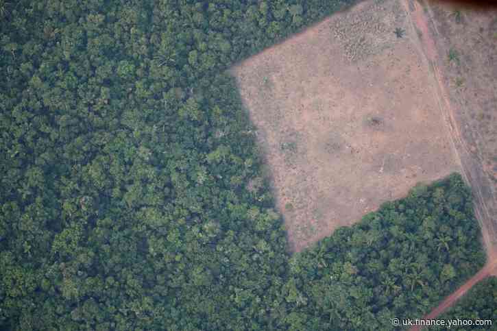 A fifth of EU soy imports from Brazil could be tainted by deforestation, study says
