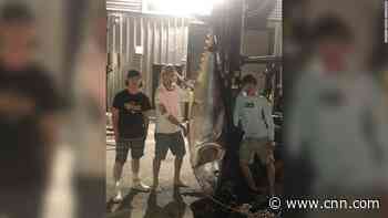 Teen reels in 700-pound bluefin tuna after 7-hour fight