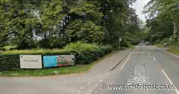 Firefighters free man after lorry crashes with car