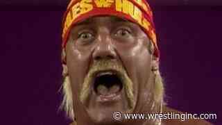 Fitness Guru Talks Chris Hemsworth Transforming Into Hulk Hogan For Upcoming Biopic - Wrestling Inc.