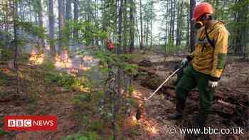 Climate change: Siberian heatwave 'clear evidence' of warming