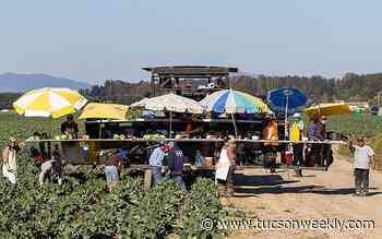 As pandemic rages, farmworkers say employers are ‘prioritizing production over … lives’