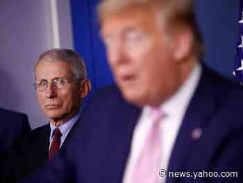 Trump reportedly &#39;authorized&#39; and &#39;encouraged&#39; an op-ed attacking Dr. Fauci, despite the White House&#39;s claim to the contrary