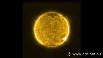 The first images of the sun taken by the Solar Orbiter