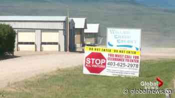 Some Hutterite colonies in Alberta facing discrimination over COVID-19