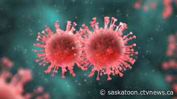 'The way we live that's going to spread': Sask. Hutterite woman voices concern about COVID-19 outbreak