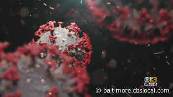 Coronavirus Latest: Cases Rise Among Young Adults In Maryland - CBS Baltimore
