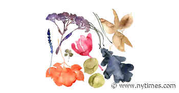 Pressed Between the Pages of a Book, Flora Becomes Art