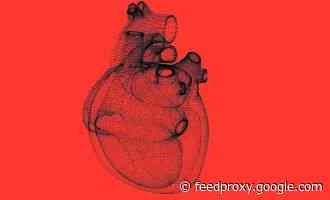 How Your Heart Helps Shape Cognition And Perception