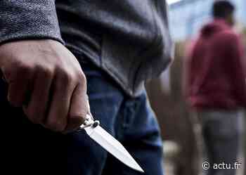 Val-de-Marne. La Queue-en-Brie : un homme violent poursuit sa compagne avec un couteau - actu.fr