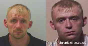 Spiderboy to Spiderman: Notorious criminal Thomas Laws on the run again