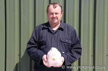 Poultry business £3m expansion nears completion