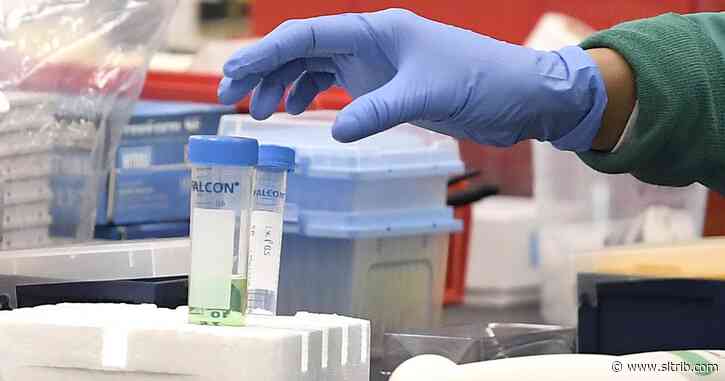 We may be more protected from the coronavirus than we thought, thanks to T cells