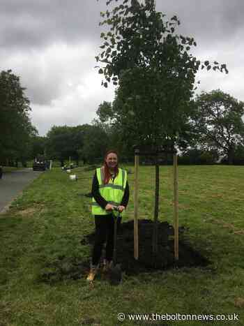Bolton council begins tree planting project at parks - The Bolton News
