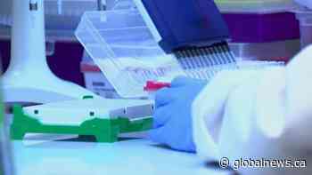 Surge of 42 new coronavirus cases in Saskatchewan