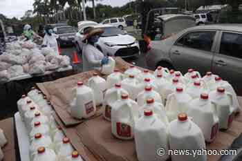 This Southern metro area has become the epicenter of the coronavirus — and food insecurity