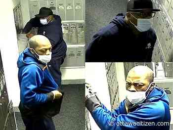Police seek to identify suspects in 'numerous' Centretown mail thefts