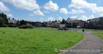 Petition set up after anti-social behaviour at Adamsdown park