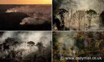 Shocking images show illegal fires raging in the Amazon rainforest