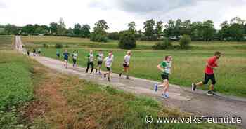 Die Eifelläufer bieten ein bisschen Médoc-Marathon in Bitburg - Trierischer Volksfreund