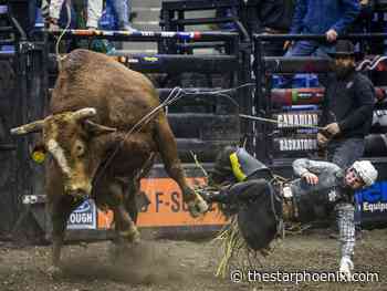 PBR Canada eyes return, with finale in Saskatoon - Saskatoon StarPhoenix