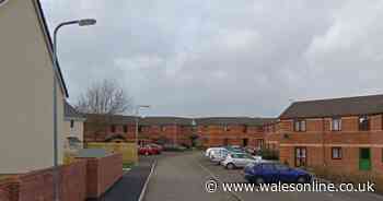 Man banned from living in his own house