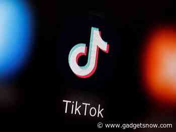 Punjab Police cybercrime cell warns against fake 'TikTok Pro' app