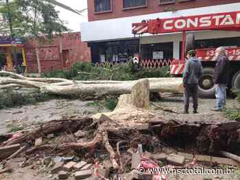 Blumenau avalia decretar emergência após passagem de ciclone | NSC Total - NSC Total