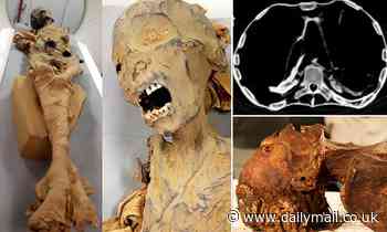 CT scans reveal 'the mummy of the screaming woman' died of a massive heart attack 3,000 years ago