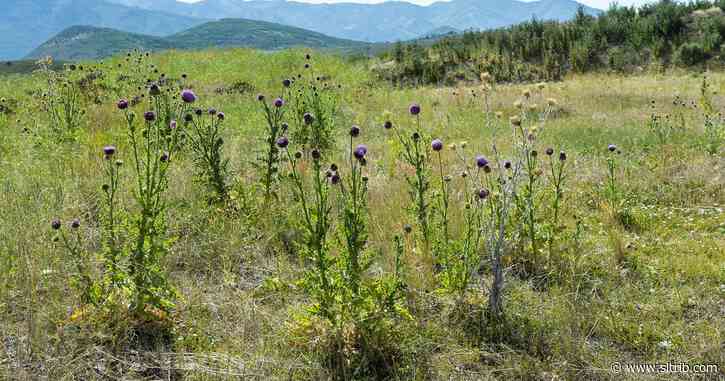 Phil Rubin: Hideout’s annexation plan will help the Park City area