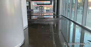 Damage to Rogers Place shouldn’t change Edmonton’s NHL hub city plans: Iveson, OEG