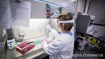 13 new COVID-19 cases in Sask.; 12 in hospital