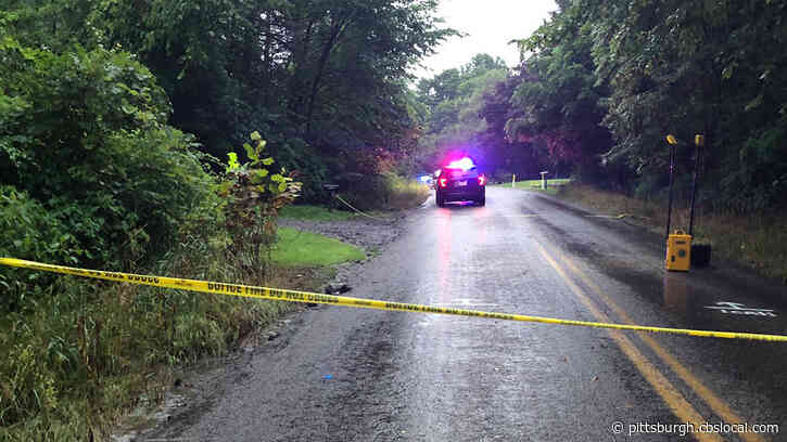 ‘Do The Right Thing, Step Forward’: State Police Offering $2,000 Reward On 1st Anniversary Of Shenango Twp. Fatal Shooting
