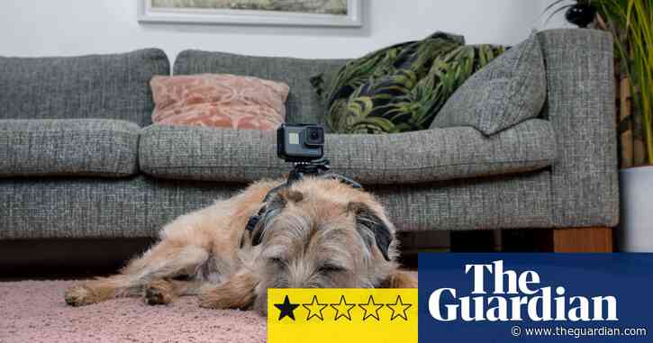 Celebrity Snoop Dogs review – canine Through The Keyhole is a dog's dinner