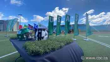 Griffiths Stadium getting $3.14M upgrade with new artificial turf, lighting