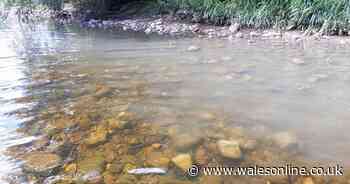 Investigation launched after claims sewage 'spills into river'