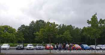 Car club 'taking action' against own members after complaints