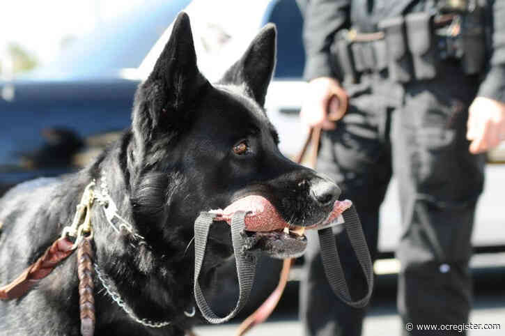 Retired Cypress police K9 Sem, who took down murder suspects, dies