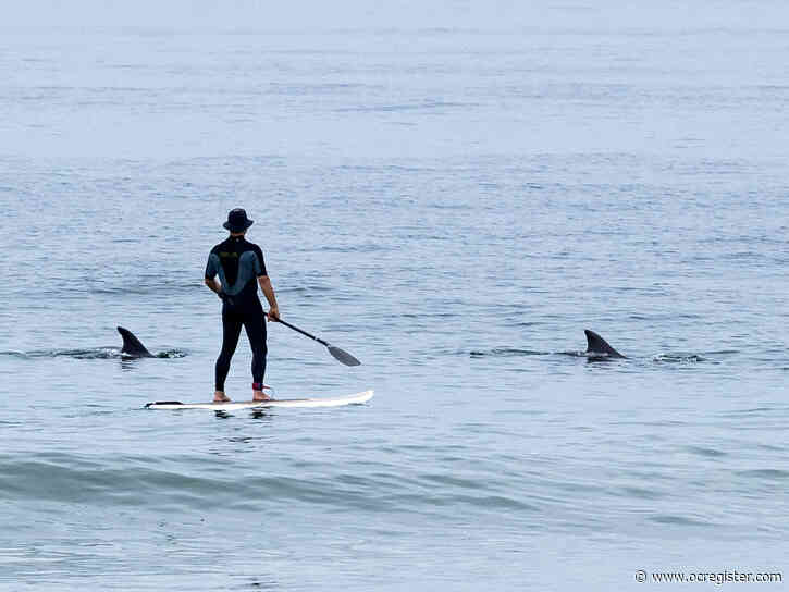 Orange County will warm up for the weekend