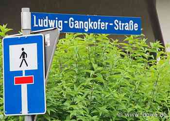 Landau an der Isar: Falsches Schild: Straße versehentlich umbenannt - idowa