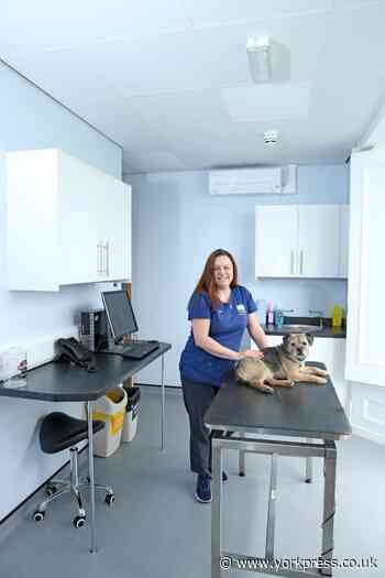 Tower Vets shut one practice and give another a makeover