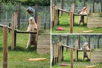 The 'new normal' in Yorkshire - in pictures