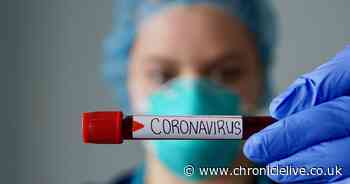 Daily coronavirus death figures for the UK are going to be paused
