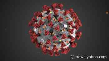 A 'viral stun gun': How monoclonal antibodies can help fight COVID-19