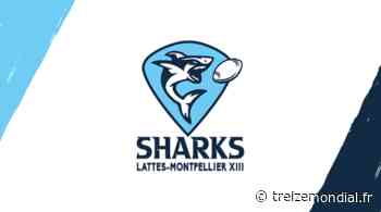 Les Sharks de Lattes-Montpellier signent un jeune de Clairac - Treize Mondial