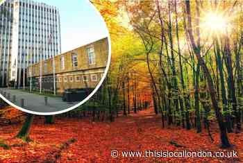 Council plans new woodland to make Enfield carbon neutral
