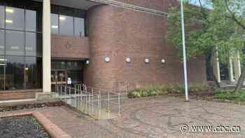 Fort McMurray man sentenced to 5.5 years in prison for deadly puppy heist